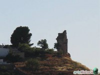 /album/foto-galeria/foc30008-jpg/