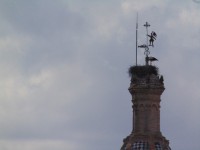 /album/foto-galeria/dsc00136-jpg/